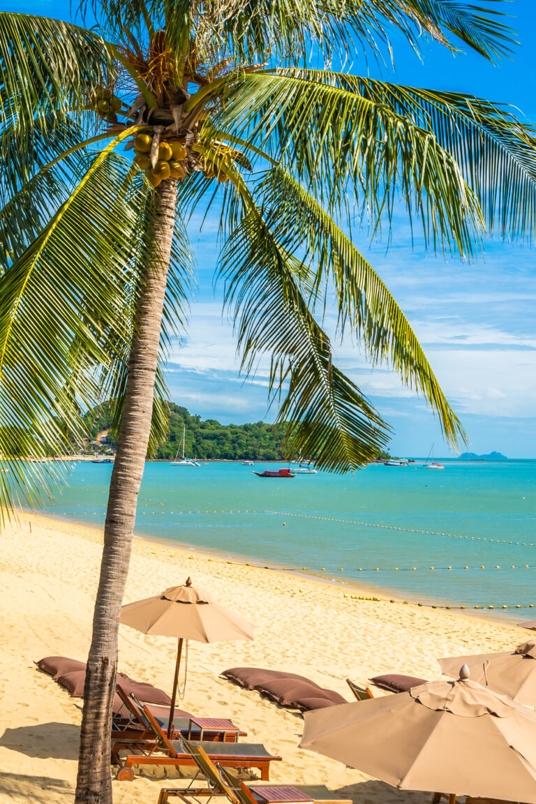 tropical island